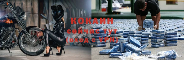 каннабис Белокуриха